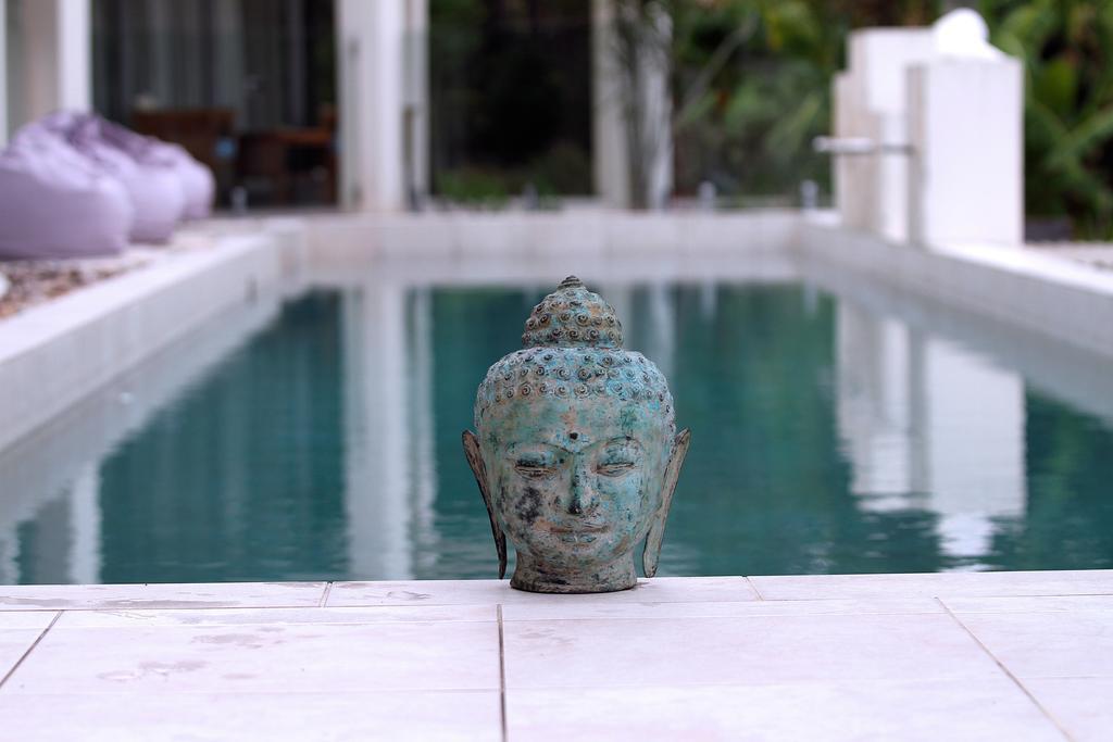 Alaya Verde Bed & Breakfast Ringtail Creek Bilik gambar